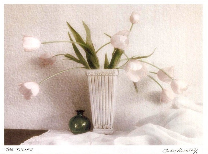The Tulips by Judy Mandolf